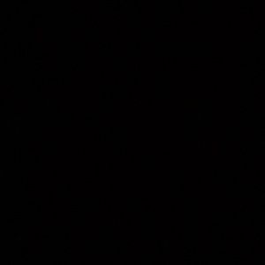 Meet your Posher, Naomi